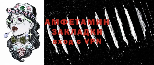 стаф Алзамай