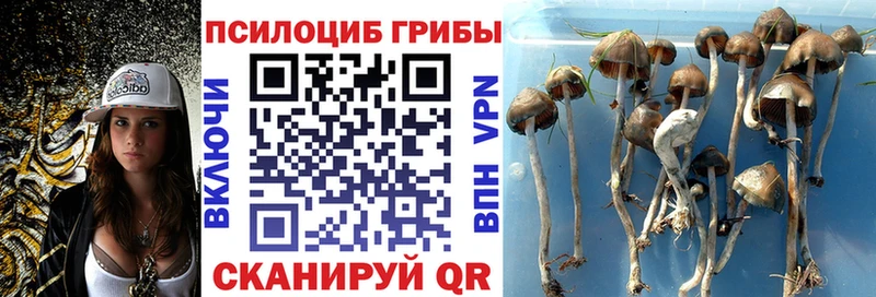 закладка Арзамас Галлюциногенные грибы мухоморы